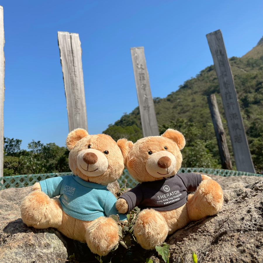 Sheraton & Four Points by Sheraton Bear - SKY/ FLY