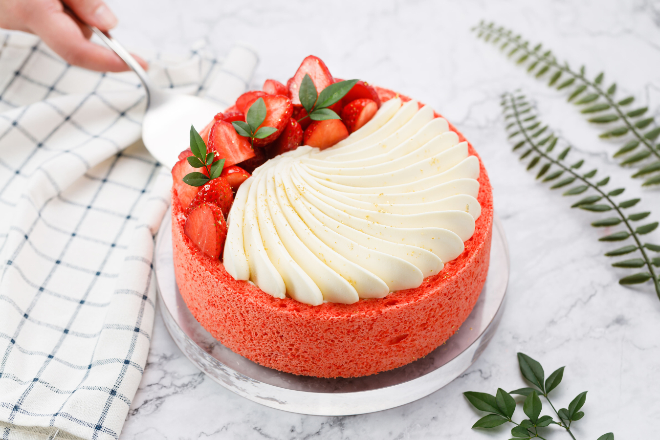 Red Fruit Charlotte