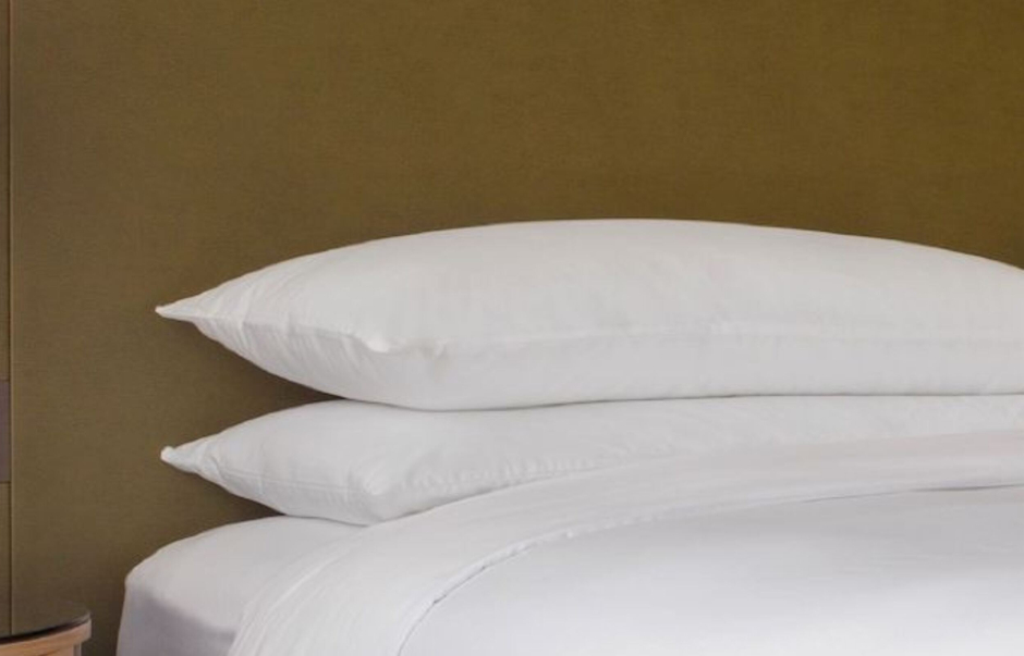 Pillow & Pillow Cover 